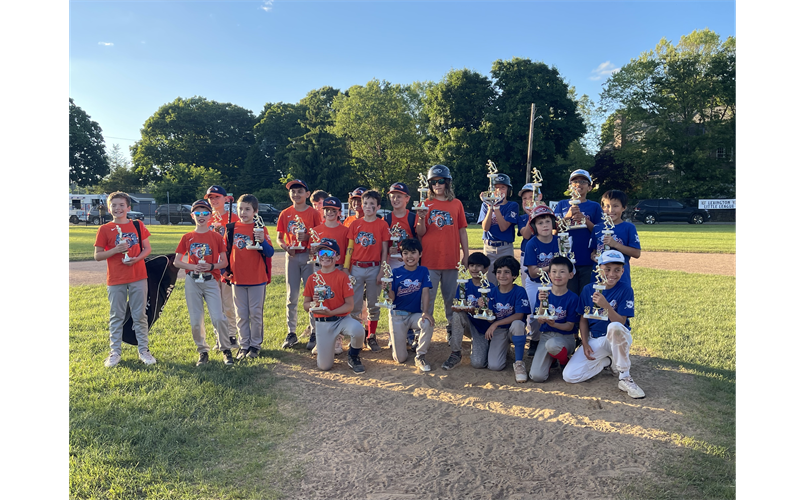 The Ironbirds beat the Hot Rods in a 9-8 battle to become the 2024 Baseball Triple AAA Champions!